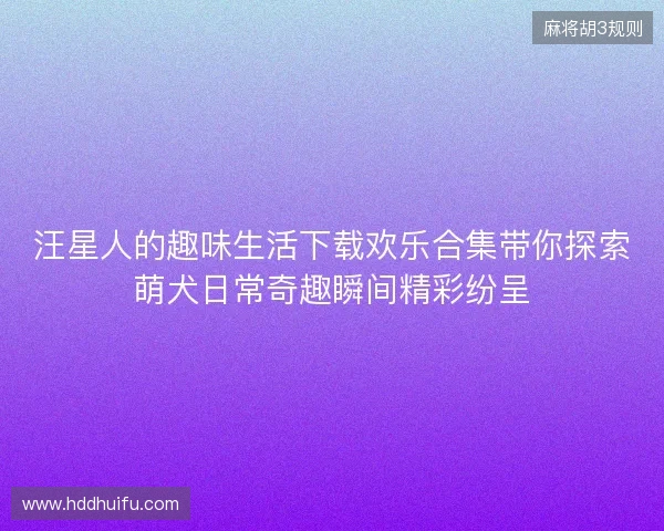 汪星人的趣味生活下载欢乐合集带你探索萌犬日常奇趣瞬间精彩纷呈 汪星人的趣味生活下载欢乐合集带你探索萌犬日常奇趣瞬间精彩纷呈