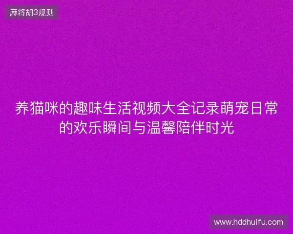 养猫咪的趣味生活视频大全记录萌宠日常的欢乐瞬间与温馨陪伴时光 养猫咪的趣味生活视频大全记录萌宠日常的欢乐瞬间与温馨陪伴时光